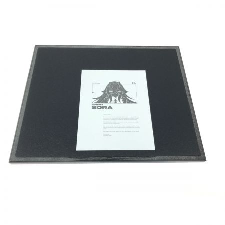   SkyPAD3.0XL-SHINY SORA シリアルナンバー 245