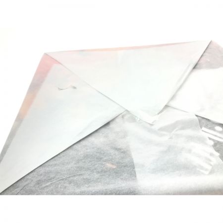   Portrait.Of.Piratesワンピース NEO-MAXIMUM ポートガス・D・エース 15thLIMITED