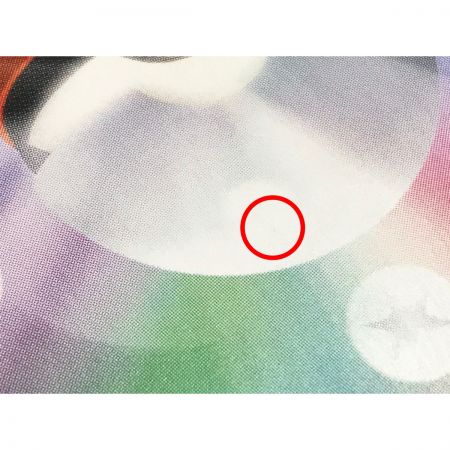   リーフィアVMAX 089/069 HR