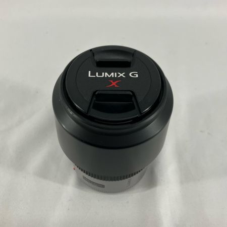 Panasonic パナソニック レンズ H-P45175