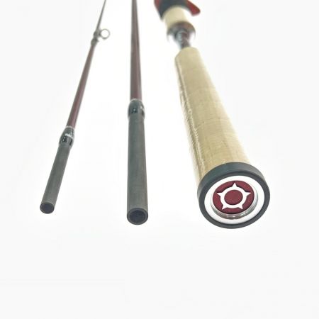  Fishman フィッシュマン Beams LOWER 7.3L ビームス ローワールアーロッド