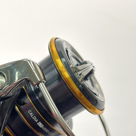  DAIWA ダイワ スピニングリール 21カルディア LT4000-CXH 00060291