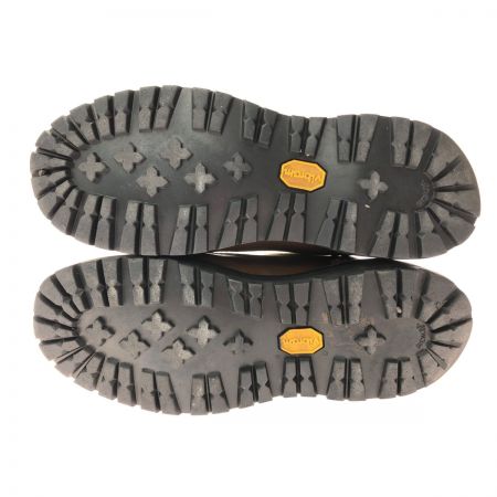  Danner ダナー メンズブーツ ワークブーツ Danner Light マウンテンブーツ GORE-TEX 25cm 30420X ブラウン