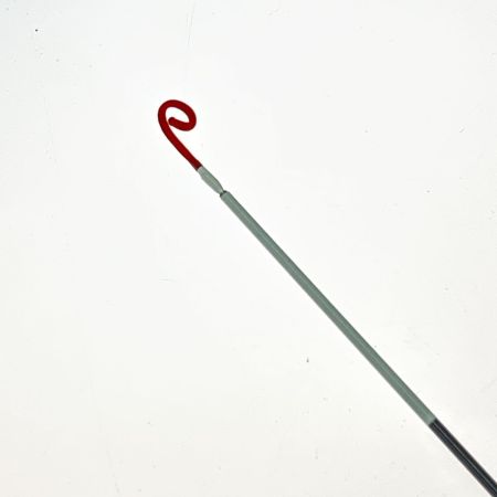  DAIWA ダイワ 鮎竿 銀影競技 スペシャルプロ中硬100