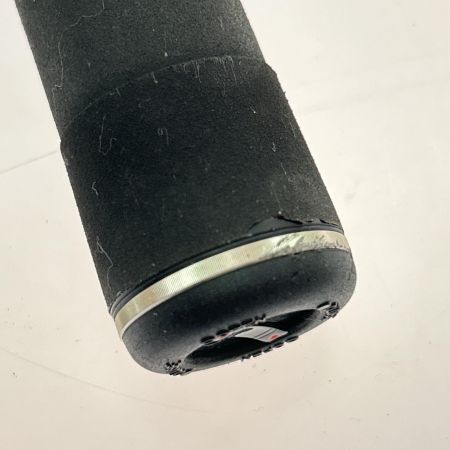  DAIWA ダイワ 鮎竿 銀影競技 スペシャルプロ中硬100