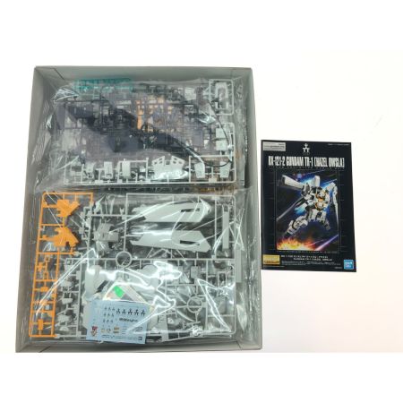  BANDAI バンダイ MG 1/100 ガンダムTR-1  ヘイズルアウスラ ADVANCE OF Z ティターンズの旗のもとに