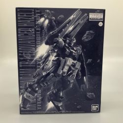 BANDAI バンダイ プラモデル ガンプラ 1/100 MG RX-121-2A ガンダムTR-1 アドバンスド・ヘイズル Sランク