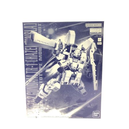  BANDAI プレミアムバンダイ限定 ADVANCE OF Z ～ティターンズの旗のもとに～1/100 MG ガンダムTR-1 ヘイズル・アウスラ 