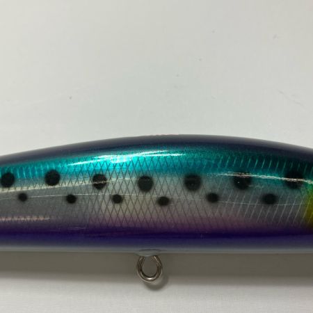  猛闘犬丸 ルアー 猛次世代21F-MG 