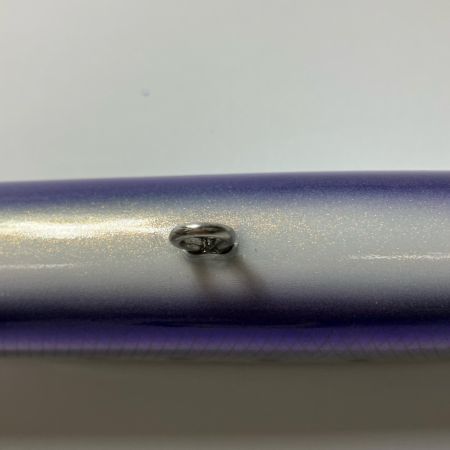  猛闘犬丸 ルアー 猛次世代21F-MG 