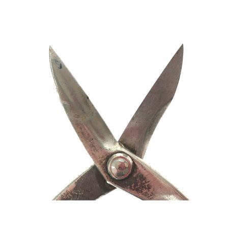  種光 ハンドツール 金切鋏 柳刃 全長290mm ステンレス製