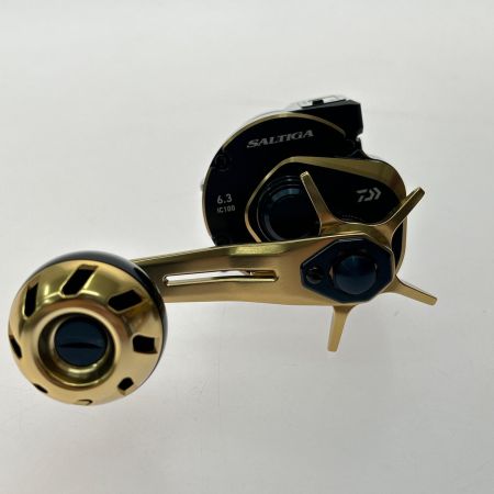  DAIWA ダイワ ベイトリール 21ソルティガIC 100 00631502