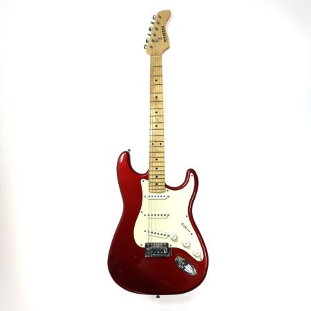  FERNANDES フェルナンデス LE-1Z ソフトケース