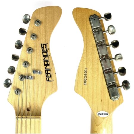  FERNANDES フェルナンデス LE-1Z ソフトケース