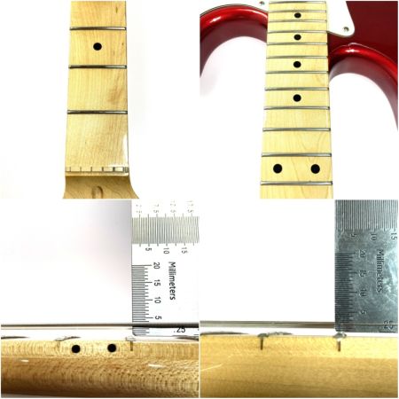  FERNANDES フェルナンデス LE-1Z ソフトケース