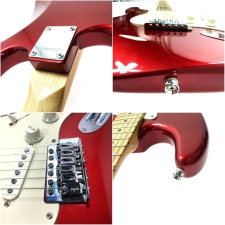  FERNANDES フェルナンデス LE-1Z ソフトケース