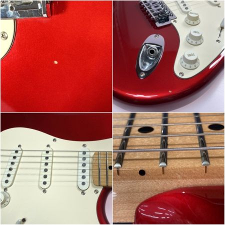  FERNANDES フェルナンデス LE-1Z ソフトケース