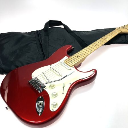  FERNANDES フェルナンデス LE-1Z ソフトケース