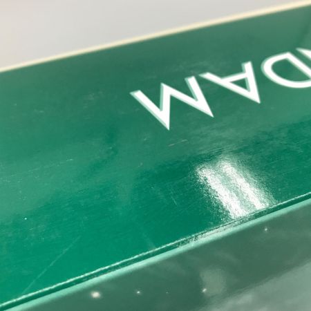    MG 1/100 アルトロンガンダム EW プラモデル