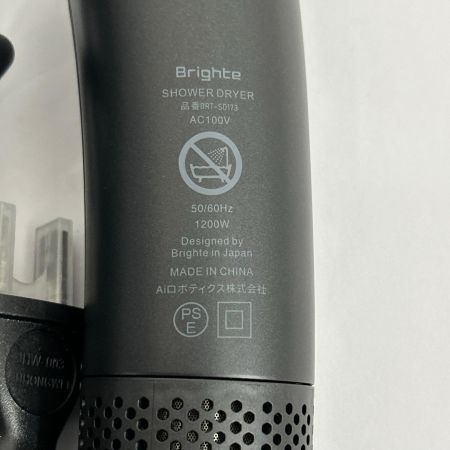  Brighte ブライト ドライヤー ヘアードライヤー SHOWER DRYER BRT-SD173