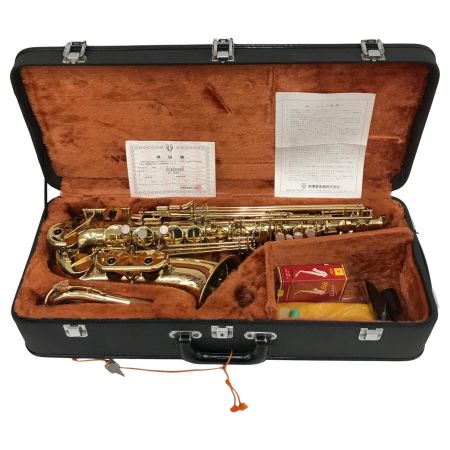  YANAGISAWA 木管楽器 サックス YANAGISAWA ケース付 00120856 A-500