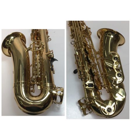  YANAGISAWA 木管楽器 サックス YANAGISAWA ケース付 00120856 A-500