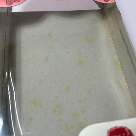   SEGA 魔法騎士レイアース プリメーラ ドール