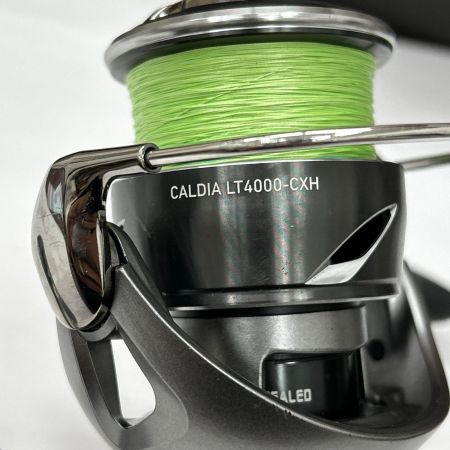  DAIWA ダイワ スピニングリール 25カルディアLT4000-CXH 442537