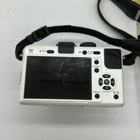  Panasonic パナソニック ミラーレス一眼カメラ ボディ DMC-GF1