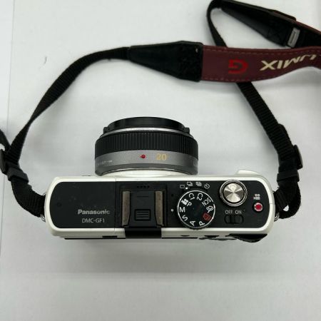  Panasonic パナソニック ミラーレス一眼カメラ ボディ DMC-GF1