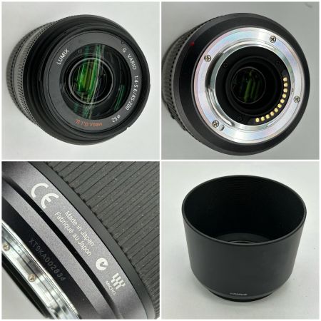  Panasonic パナソニック ミラーレス一眼カメラ ボディ DMC-GF1