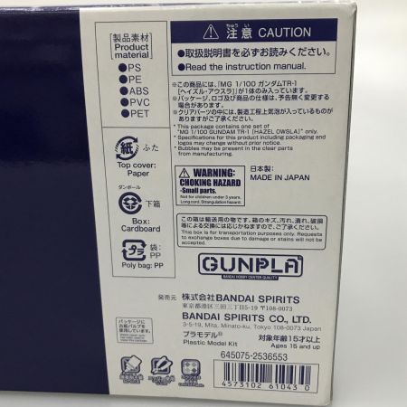   プラモデル 1/100 MG ガンダムTR-1 ヘイズル・アウスラ 「ADVANCE OF Z ～ティターンズの旗のもとに～」 プレミアムバンダイ限定