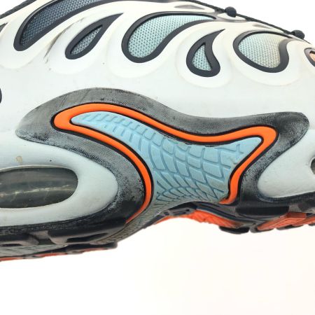  NIKE ナイキ メンズスニーカー  AIR MAX PLUS DRIFT エアマックスプラス ドリフト 30cm FD4290-004