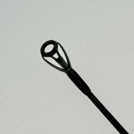  APIA アピア シーバスロッド グランデージ ノーザンライツ 106ML