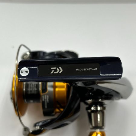  DAIWA ダイワ スピニングリール 24レブロス LT6000D-H 066610