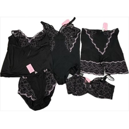   ダイアナ 下着 5点セット 2011年カラーコレクション