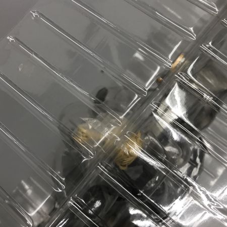 GOOD SMILE COMPANY グッドスマイルカンパニー セイバー・モータード・キュイラッシェ フィギュア