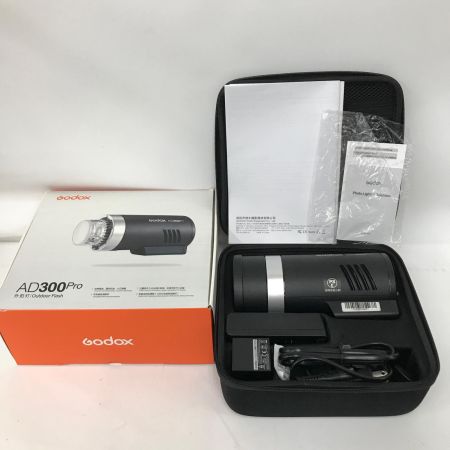  Godox カメラ周辺機器 アウトドアフラッシュ AD300Pro