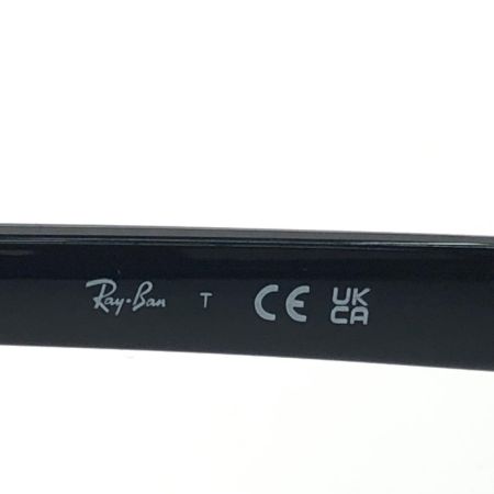 RAY-BAN レイバン ユニセックス アイウェア 偏光サングラス スクエア  RB4458D ブラック