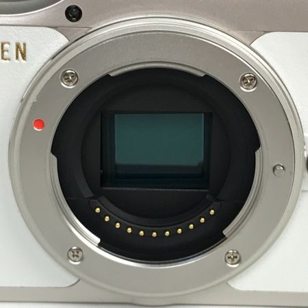  OLYMPUS オリンパス PEN ミラーレス一眼カメラ ダブルズームキット E-PL9