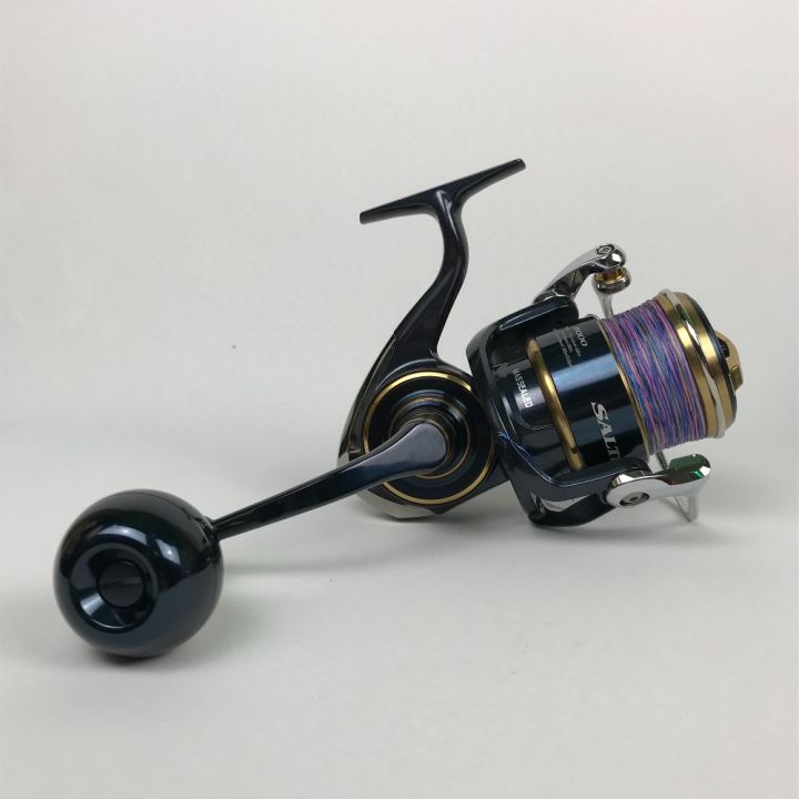 DAIWA ダイワ 20 SALTIGA ソルティガ 8000-P スピニングリール