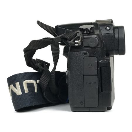  Panasonic LUMIX パナソニック レンズキット デジタル一眼カメラ DMC-GH3A VARIO 12-35mm DMC-GH3A