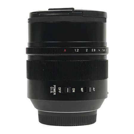  Panasonic LUMIX LUMIX G LEICA DG NOCTICRON 42.5mm パナソニック ライカ レンズ H-NS043
