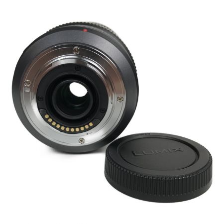  Panasonic パナソニック LUMIX G VARIO 100-300mm F4.0-5.6 MEGA O.I.S. カメラレンズ H-FS100300