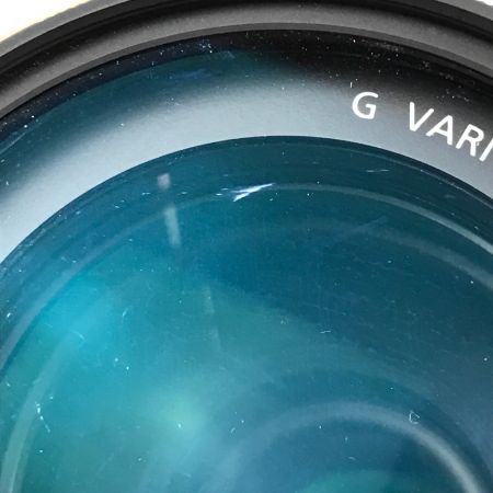  Panasonic パナソニック LUMIX G VARIO 100-300mm F4.0-5.6 MEGA O.I.S. カメラレンズ H-FS100300