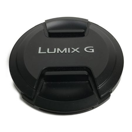  Panasonic パナソニック LUMIX G VARIO 100-300mm F4.0-5.6 MEGA O.I.S. カメラレンズ H-FS100300