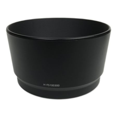  Panasonic パナソニック LUMIX G VARIO 100-300mm F4.0-5.6 MEGA O.I.S. カメラレンズ H-FS100300