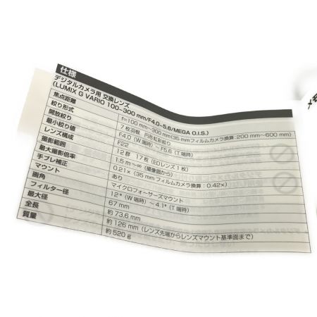  Panasonic パナソニック LUMIX G VARIO 100-300mm F4.0-5.6 MEGA O.I.S. カメラレンズ H-FS100300