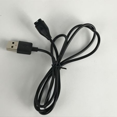  GARMIN APPROACH S42 ゴルフナビGPS ゴルフ用GPSウォッチ ブルー 充電器付