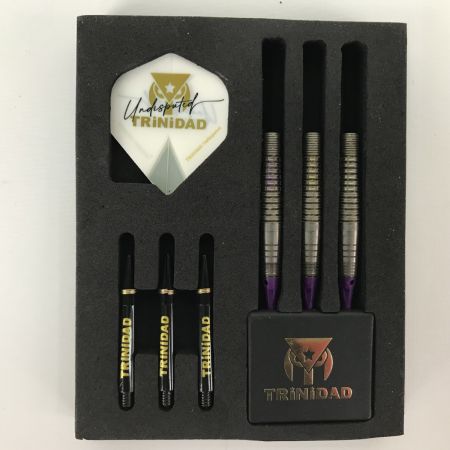  TRINIDAD トリニダード バレル ロメロ ROMERO 20ｇ ダーツ 岩田夏海モデル フライト付 やや前重心